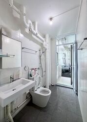 Blk 542 Panshan Grove (Bukit Panjang), HDB Executive #627491161